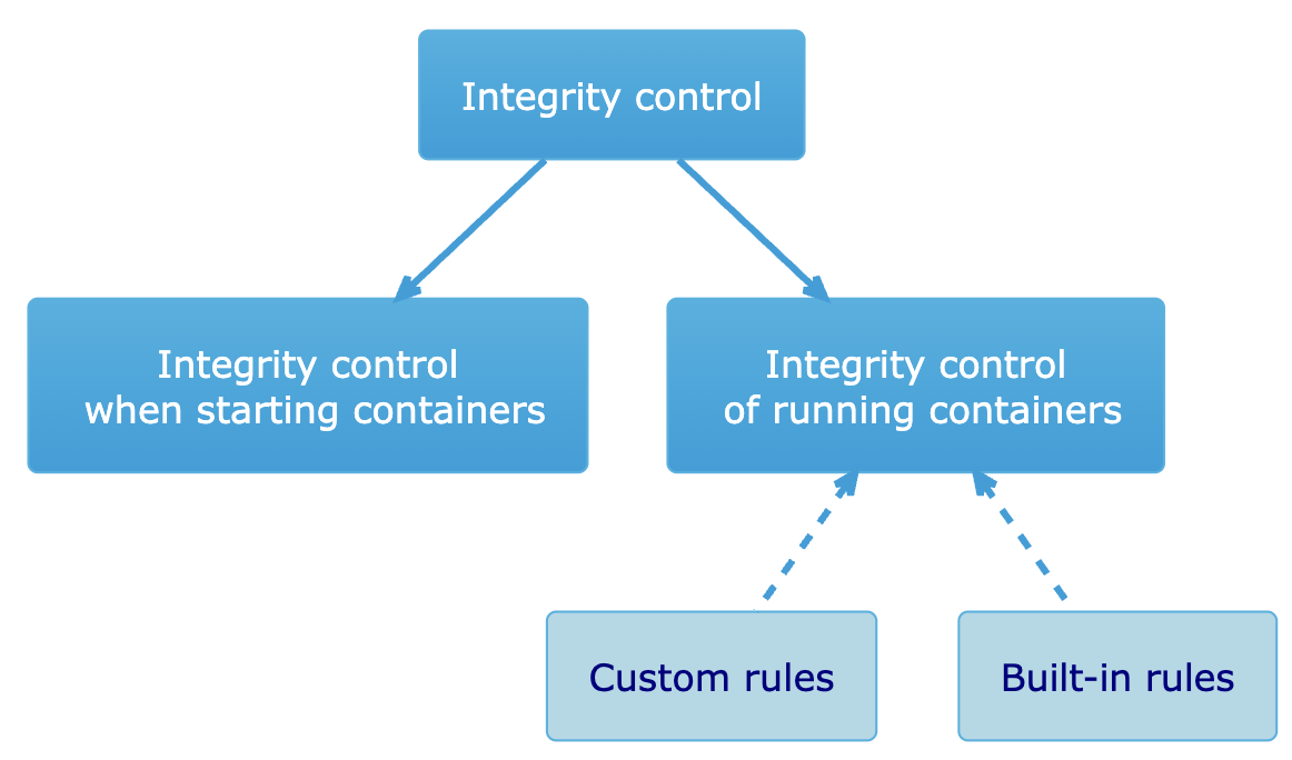 User application container integrity control in DVP